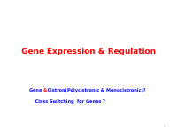 5. Gene Expression & Regulation (1).pptx